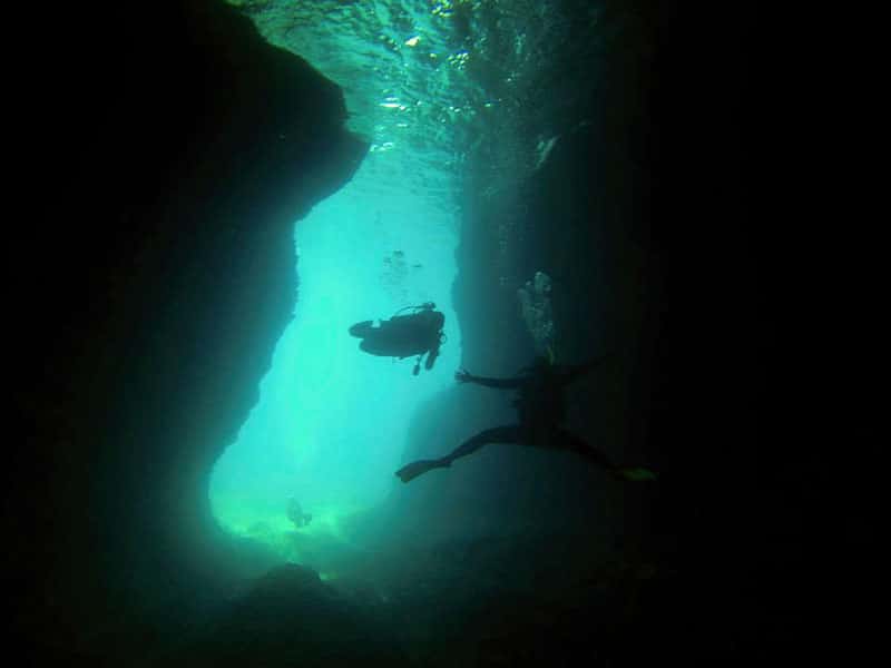 Underwater Museum Plaque - Picture of GriGri Divers, Dominican Republic -  Tripadvisor